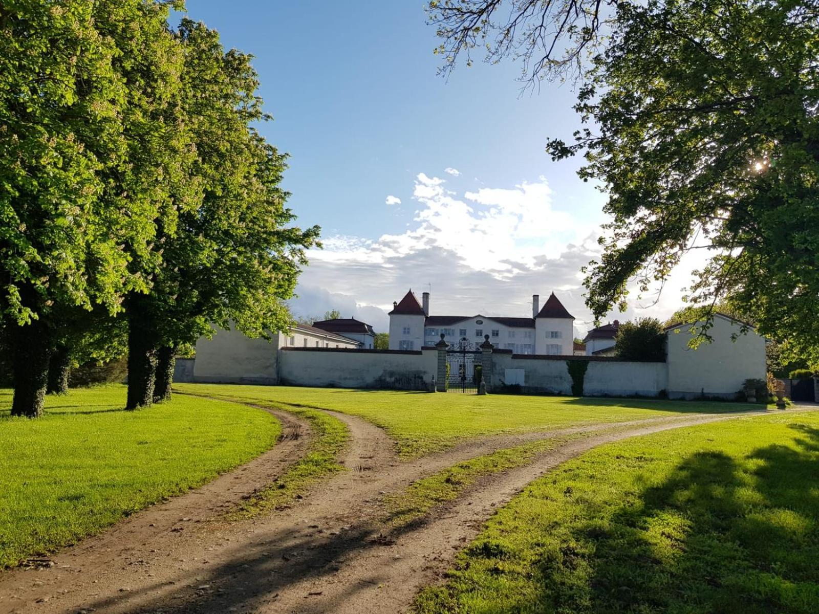 Chateau Des Perichons Poncins Екстериор снимка